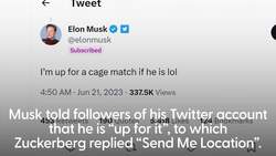 Could tech billionaires be set for cage match News Clip