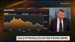 Gold Won't Go Much Lower: World Gold Council CEO News Clip
