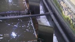 Smelly water in Regina and Moose Jaw to be cleared up soon: treatment plant Instructional Video