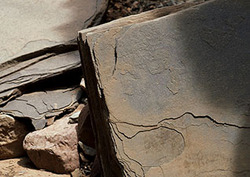 Metamorphic rock Instructional Video