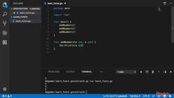 Learn Go in 3 Hours - Introduction to Functions Instructional Video