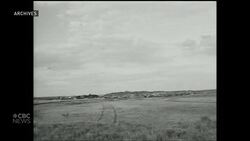 A rat sighting in Calgary? Alberta rat control is on the case News Clip