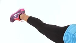 How to Do the Bird Dog Exercise Instructional Video