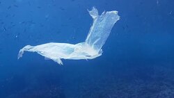 Environmental Issues single use Plastic in the Ocean Stock Footage
