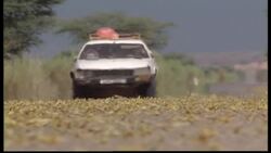 Creepy Crawlies Instructional Video