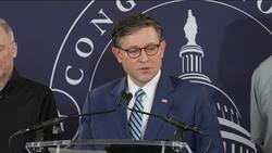 House speaker stands by Trump's federal employee buyout plan News Clip