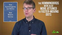 Developing A New Malaria Vaccine! Instructional Video