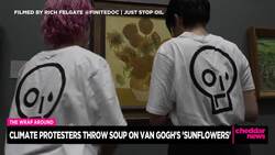 Van Gogh’s “Sunflowers” Gets Soupy Surprise News Clip