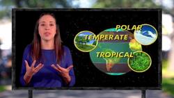 Climate Explained: Understanding Earth's Diverse Weather Patterns Instructional Video