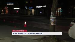 Police: Man attacked in Mott Haven News Clip