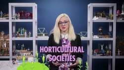 How We Got Here: Crash Course Sociology  Instructional Video
