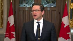 Poilievre says he 'chose not to meet' with special rapporteur News Clip