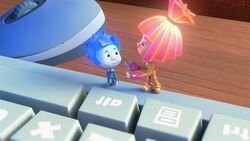 The Internet Instructional Video