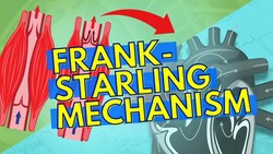Regulating Stroke Volume, Skeletal Muscle Pump and Frank-Starling Mechanism Instructional Video