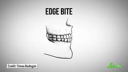 Agriculture May Have Changed How People Speak | SciShow News Instructional Video