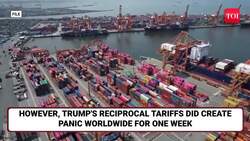 Xi Unleashes Revenge War On Trump: China Poaches U.S. Tariff Victims For Payback | Details News Clip