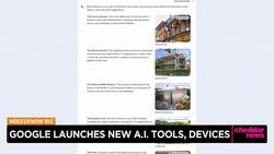 Topless Protester Briefly Disrupts VW Annual Meeting News Clip