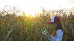 Close-up of asian young female note results in agricultural field Stock Footage