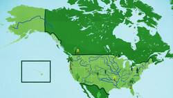 Rivers Instructional Video