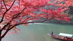 Japan Climate Instructional Video