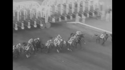 Flamingo Stakes horse race at Hialeah Park Race Track in Hialeah, FL News Clip