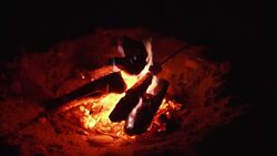 Roasting marshmallows over bonfire on the beach at night. Close-up Stock Footage