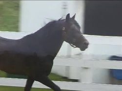 Heat and Energy: Introduction Instructional Video