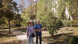 old age, retirement and people concept - happy senior couple walking at summer city park Stock Footage