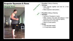 TherEx | Theraband Rows Instructional Video