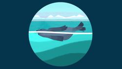 Can you be awake and asleep at the same time? | Masako Tamaki Instructional Video