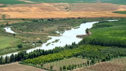 Exploring the History and Uses of Bulgur Instructional Video