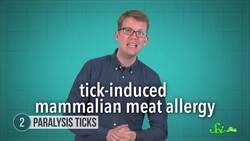 7 of Australia's Most Terrifying Inhabitants Instructional Video