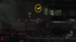 Lufthansa group halt flights to China Instructional Video