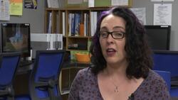 Analyst on suicides linked to US school shooting Instructional Video