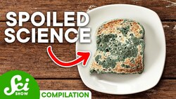 What Happens When Food Goes Bad? Instructional Video