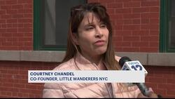 Exclusive: Animal rescue group stepping in to help cats in danger of being mauled News Clip