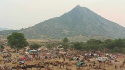 Pushkar Camel Fair, India Stock Footage