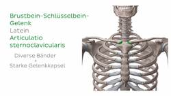 Sternum Instructional Video