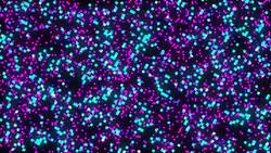 3d background with abstract surface with squares in space Stock Footage