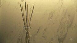 Ten Feet Tall Instructional Video