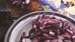 Squid Basil on pan Stock Footage