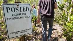 The Lizard Destroying the Florida Everglades Instructional Video