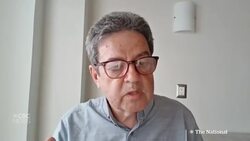 Orcas and dolphins teaming up to hunt salmon News Clip