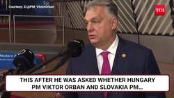 Putin, Trump Talks On The Cards; Anti-Ukraine NATO Nations Eager To Play Hosts | Details News Clip