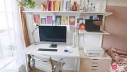 This 425-Square-Foot Brooklyn Studio Apartment Feels Larger Instructional Video