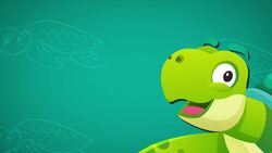 High Five Facts - Turtles
 Choca Esos Cinco - Tortugas Instructional Video