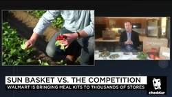 Why Sun Basket Is Going After the Healthy Lifestyle Market News Clip