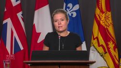 Opposition health critic says now is the time to evaluate federal pandemic response News Clip
