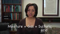 Why Do Onions Make Our Eyes Water? Instructional Video