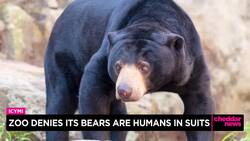 Zoo Denies Its Bears Are Humans in Suits News Clip